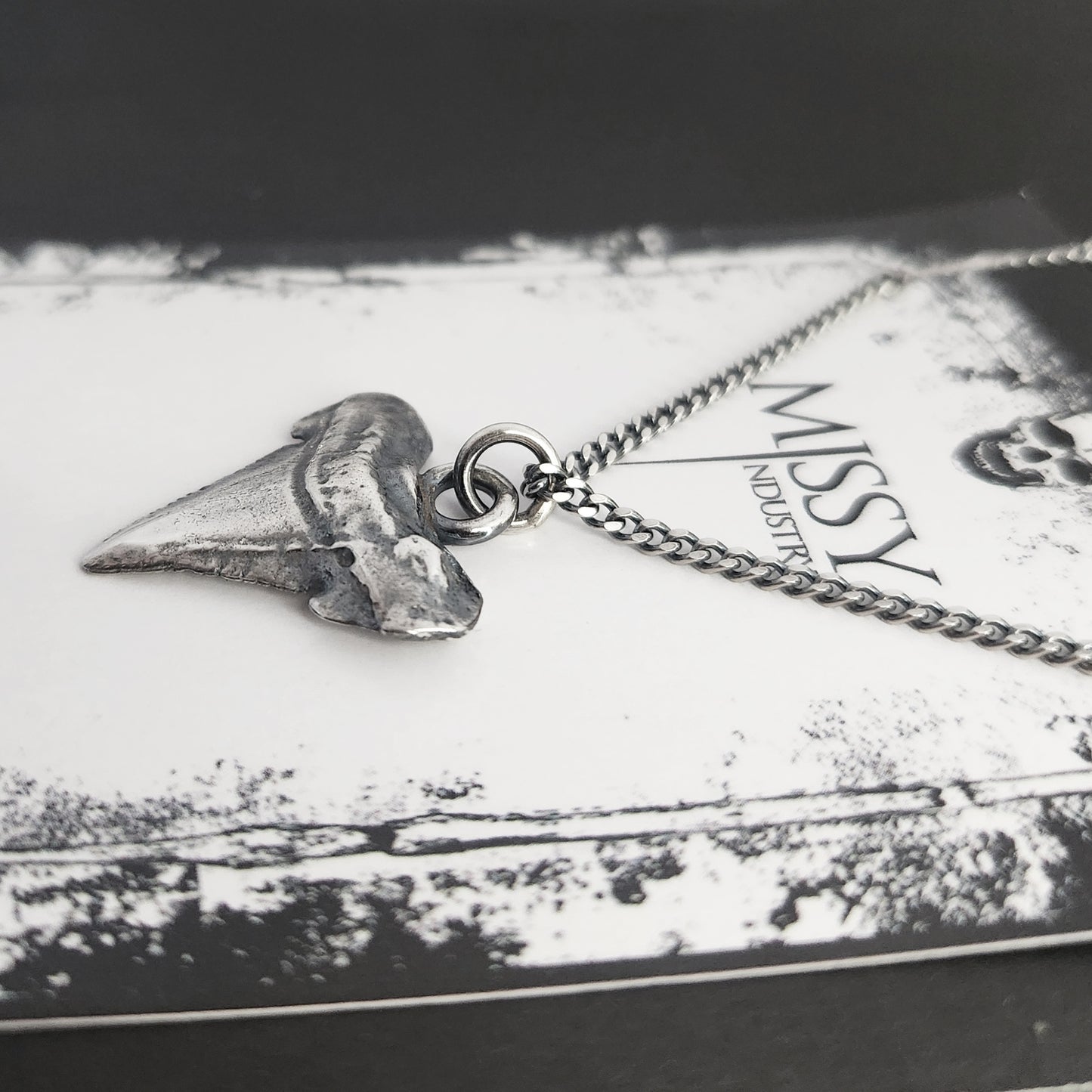 SHARK TOOTH necklace