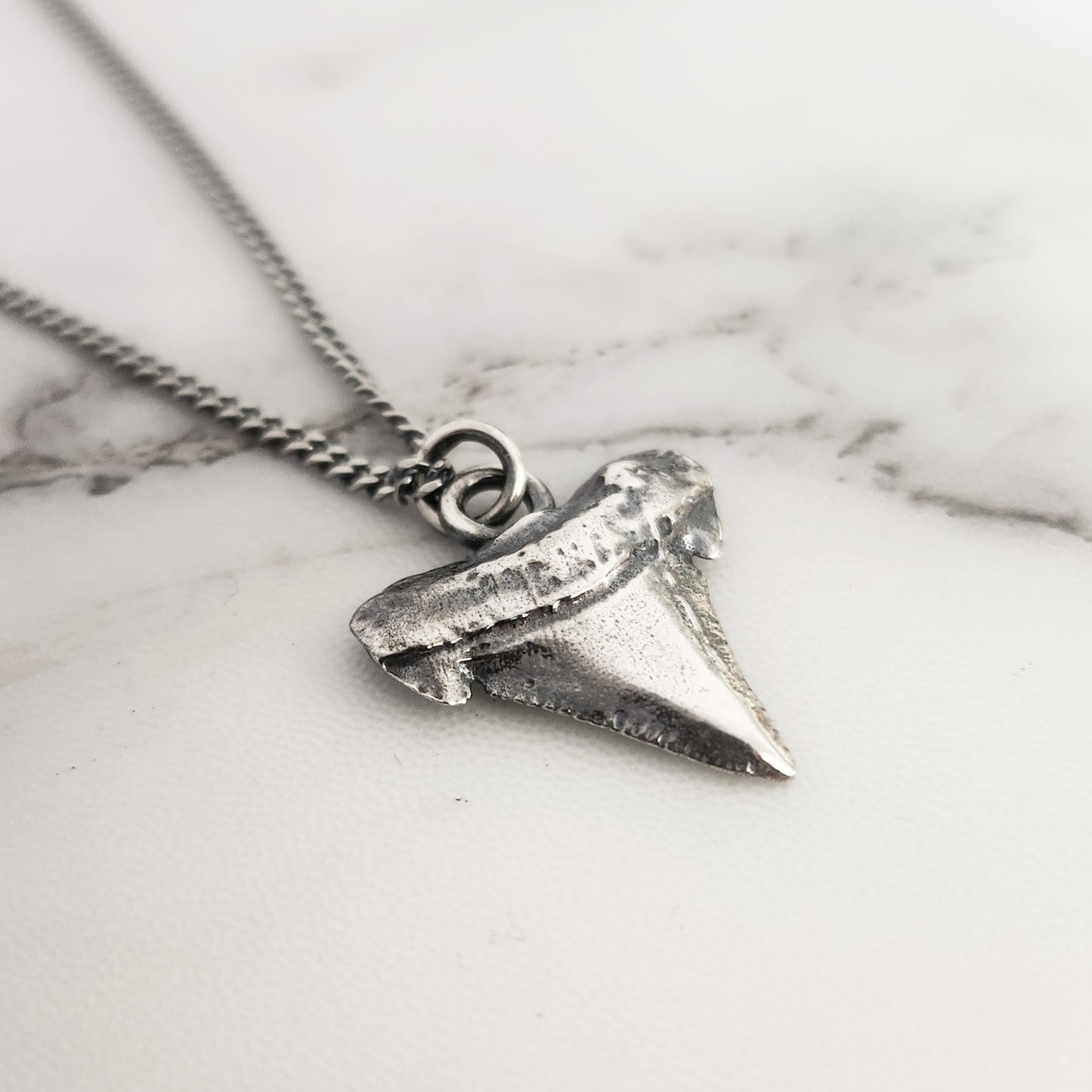 SHARK TOOTH necklace